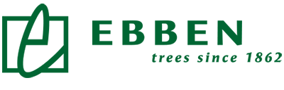 Ebben