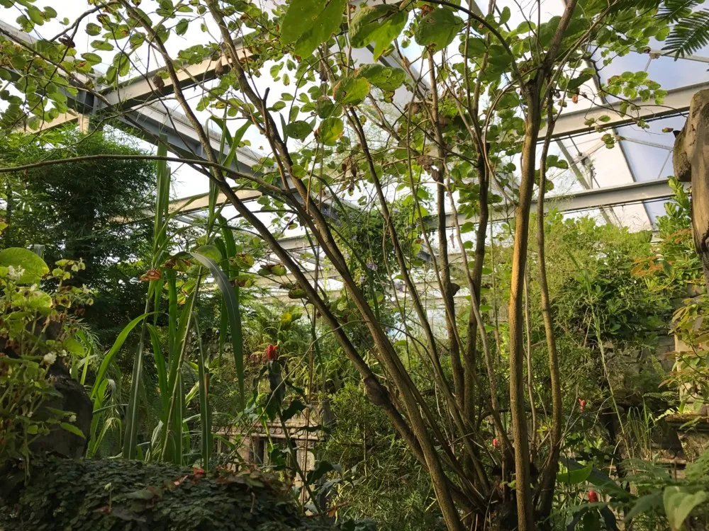 botanical garden and parc design