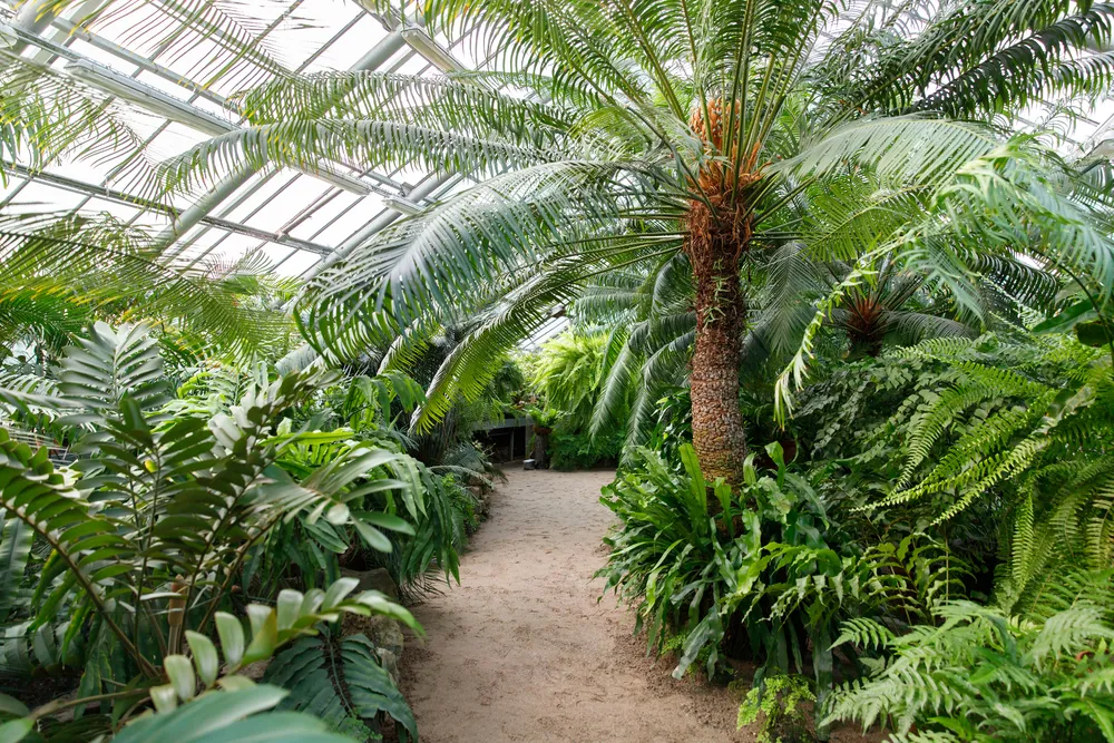 botanical glasshouse conservatory construction design