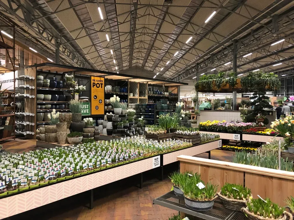 Pot and Plants