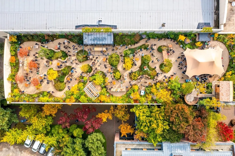 rooftop garden