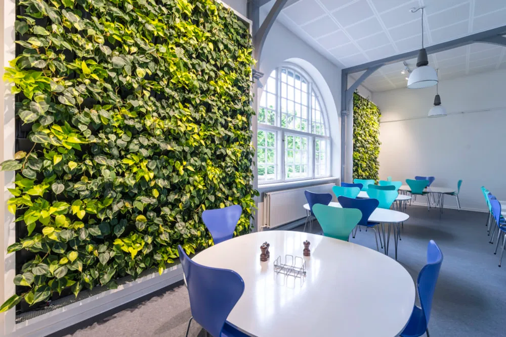 vertical green wall design
