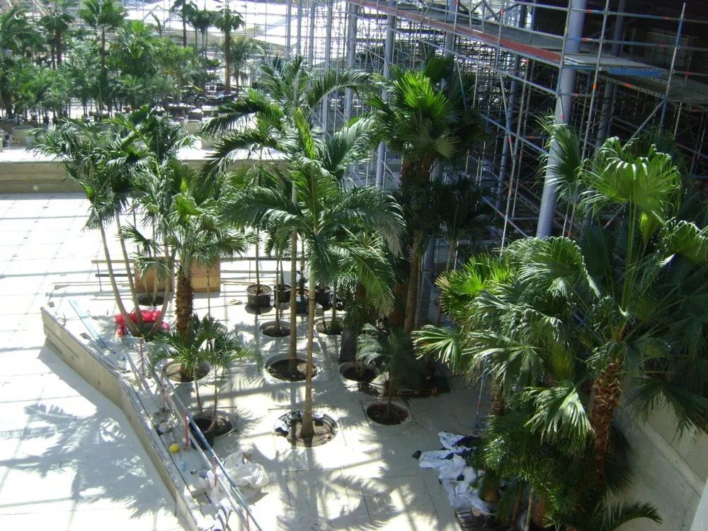 wellness center